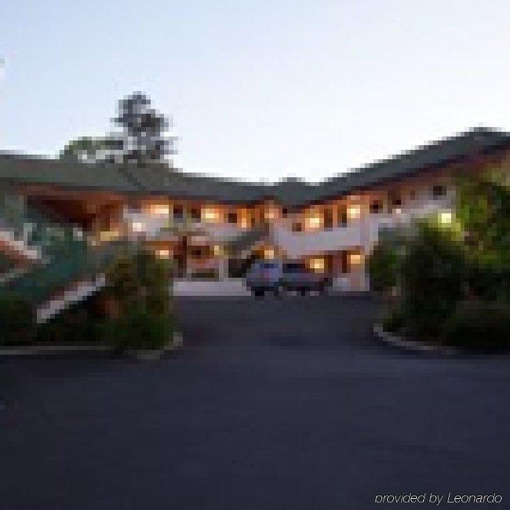 Ashwood Manor Motor Lodge Hamilton Extérieur photo